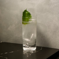 Side view of Exclusiva 16 oz. Tom Collins Cocktail Glasses (Set of 12)