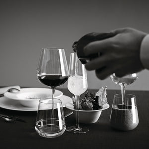 Bormioli Rocco InAlto Uno 21.5 oz. Extra Large Red Wine Glasses (Set of 6)
