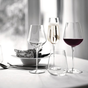 Bormioli Rocco InAlto Uno 21.5 oz. Extra Large Red Wine Glasses (Set of 6)