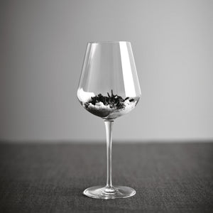 Bormioli Rocco InAlto Uno 21.5 oz. Extra Large Red Wine Glasses (Set of 6)