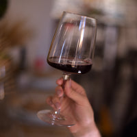 Side view of Planeo 16 oz. Red Wine Glasses (Set of 4)