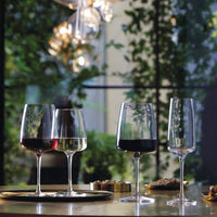 Side view of Planeo 16 oz. Red Wine Glasses (Set of 4)