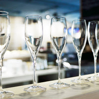 Side view of Premium 8.75 oz. No. 3 Champagne Flute (Set of 6)