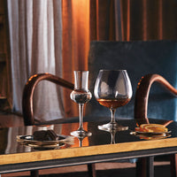 Side view of Riserva 17.75 oz. Cognac Glasses (Set of 6)